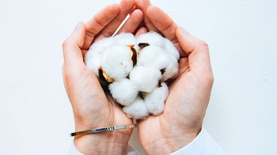 ¿Qué sabes del algodón?